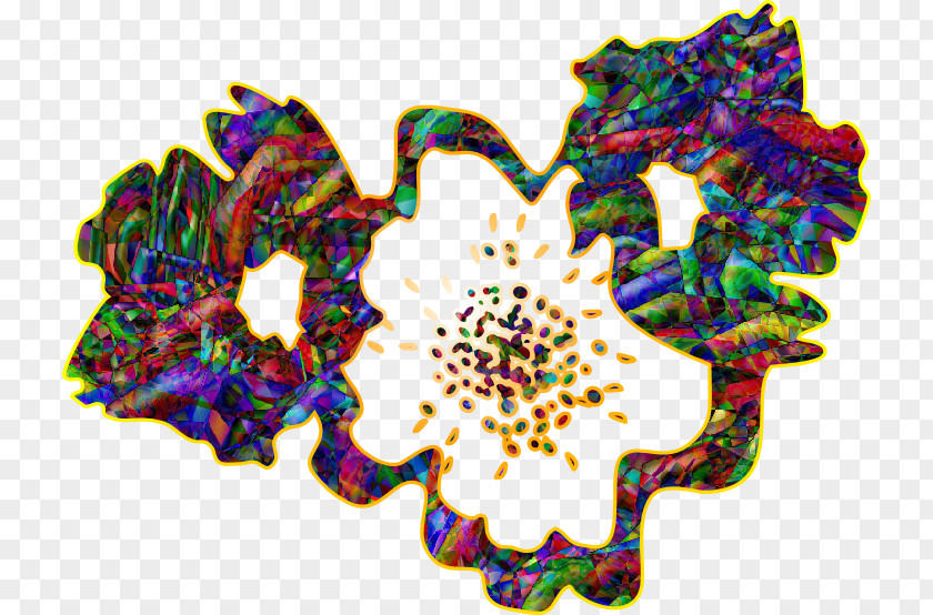 71 Flower Symmetry Petal Pattern PNG