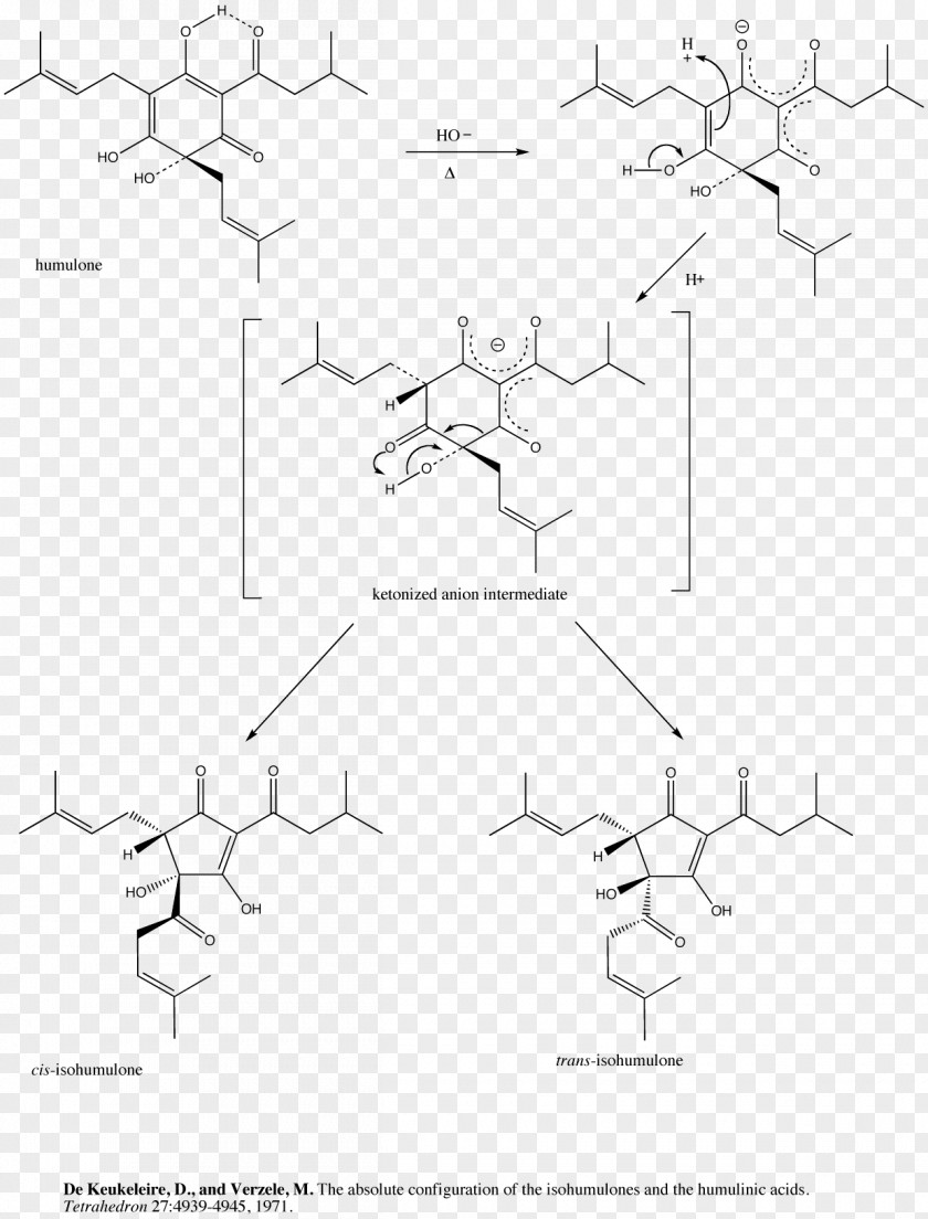 Design Drawing Point Pattern PNG