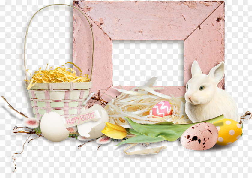 Easter Bunny Leporids Egg Rabbit PNG