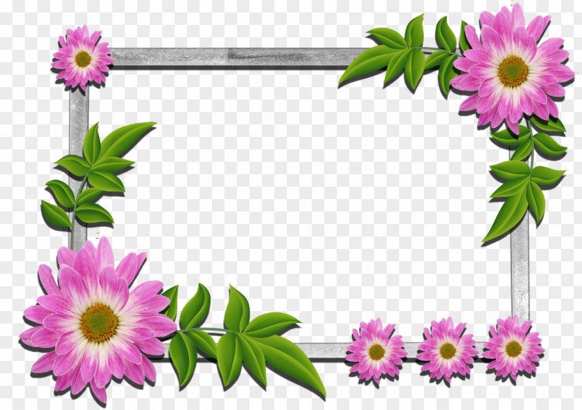 Flower Picture Frames Clip Art Floral Design Image PNG