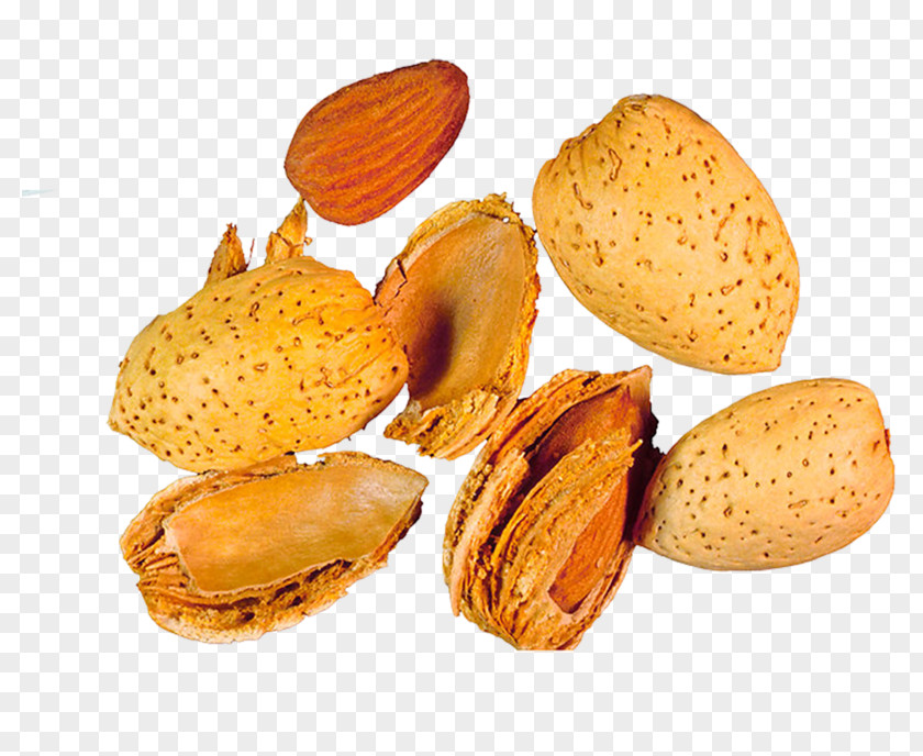 Nuts Almond Fruit Salad Nut Dried Learning PNG