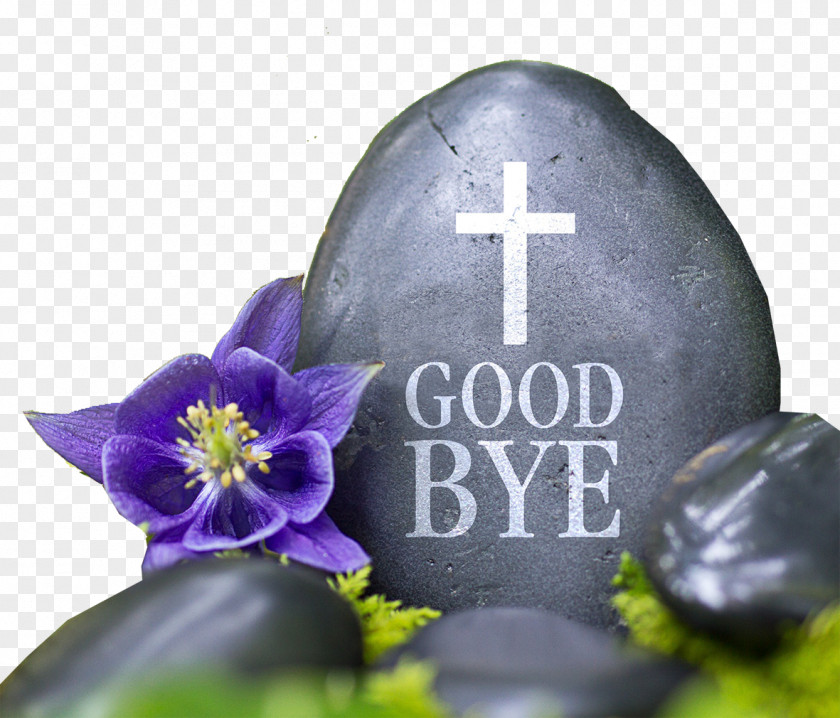 Stone Lettering, Goodbye Life After Henry Van Cleve Afterlife Death Reincarnation PNG