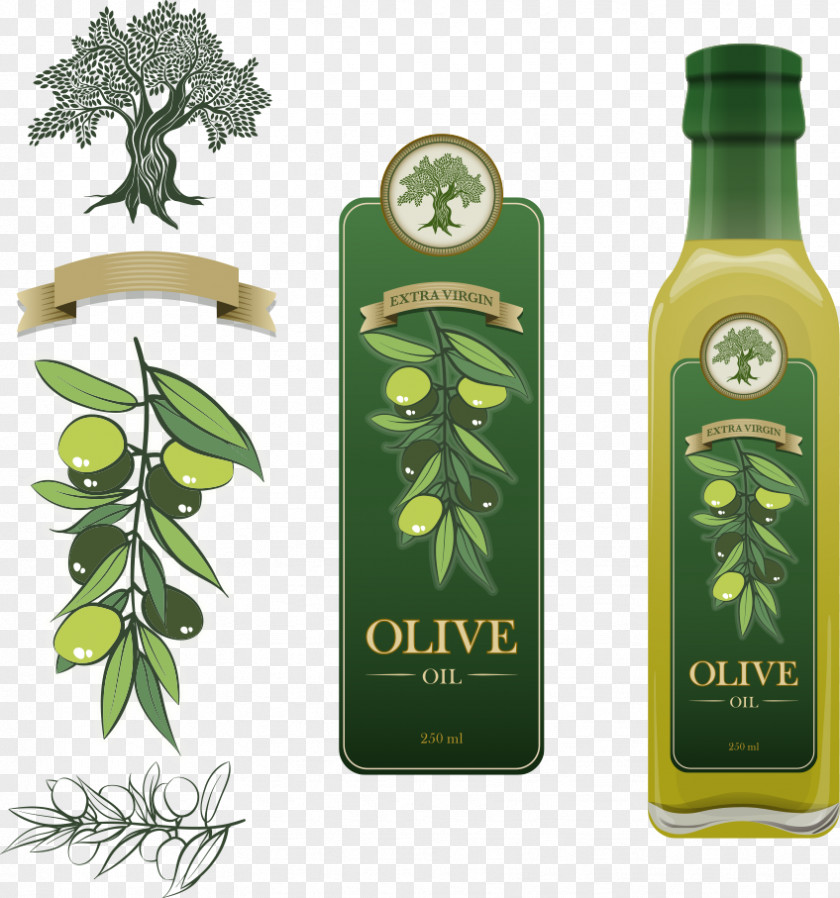 Vector Olive Oil And Fruit Bottle & Label Design PNG