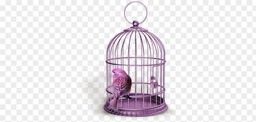 Bird Birdcage Stock Photography Royalty-free PNG