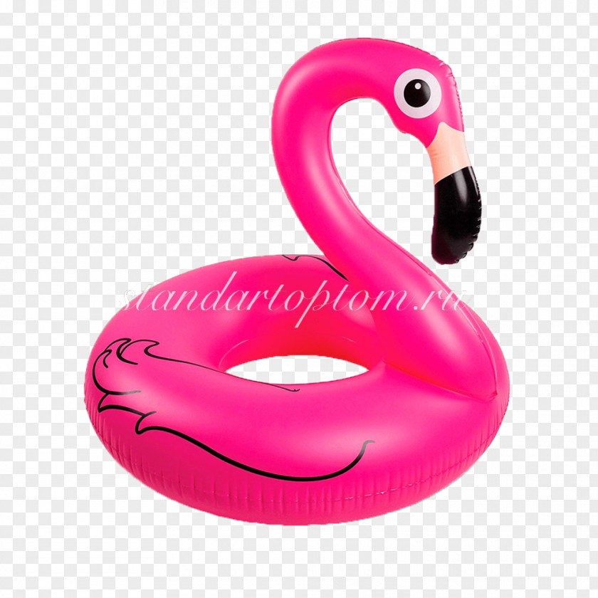 Flamingo Swim Ring Inflatable Swimming Pools Toy PNG