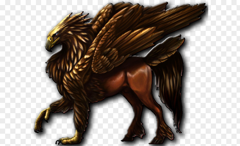 Griffin Hippogriff Legendary Creature Horse Drawing PNG