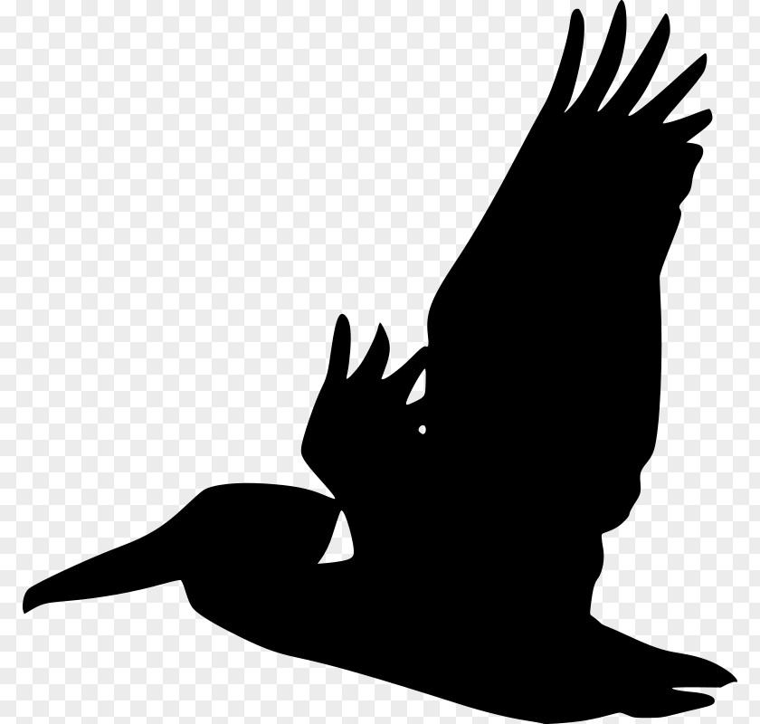 Man In Black Pelican Bird Silhouette Clip Art PNG