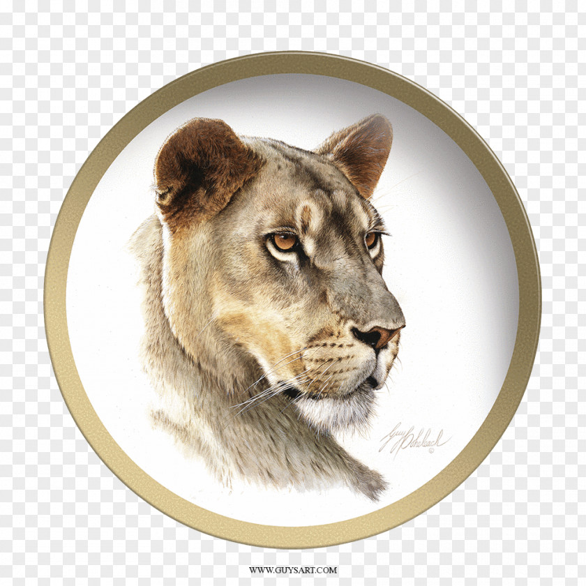 Big Head Lion Cat Drawing Painting PNG