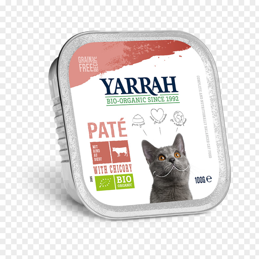 Cat Dish Blog Food Dog Organic PNG