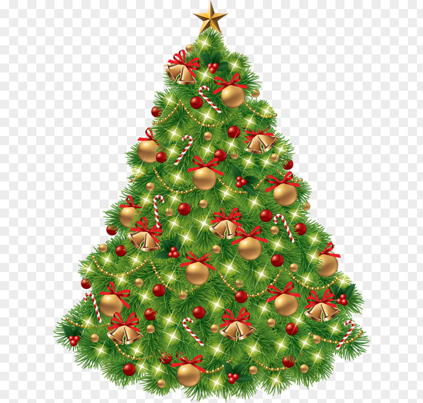 Beautiful Christmas Tree Clip Art PNG
