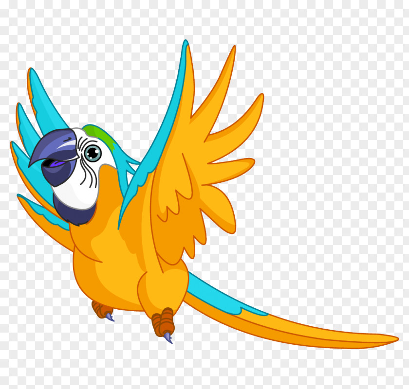 Enfant Companion Parrot Bird Pet Clip Art PNG