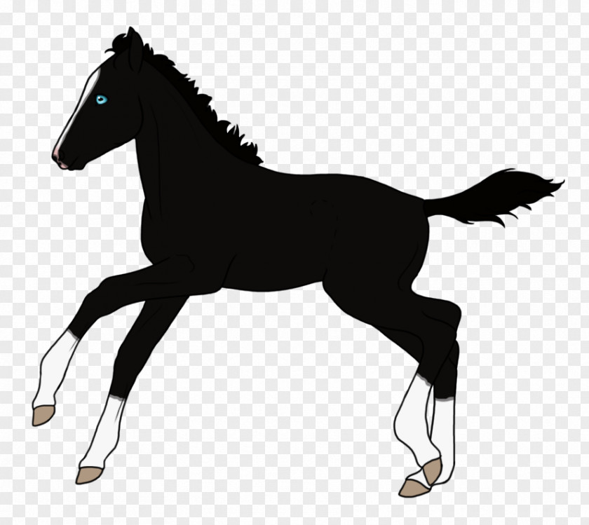Mustang Mare Arabian Horse Foal Stallion PNG