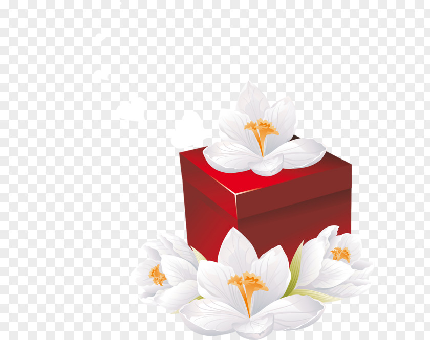 Pink Bridal Gifts Yandex.Direct Petal Flower Box PNG