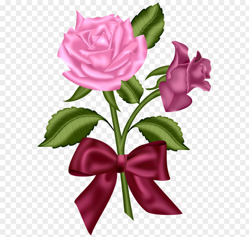 Pink Rose Flower Red Blue Clip Art PNG