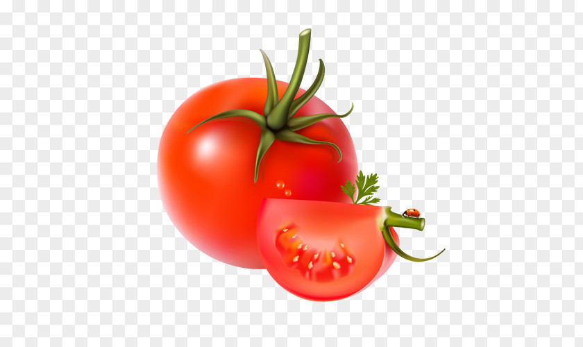 Ripe Tomatoes Vegetable Fruit Bell Pepper Chili PNG