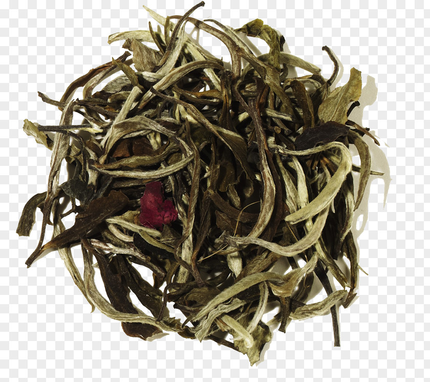 Tea Leaves Earl Grey White Green Darjeeling PNG