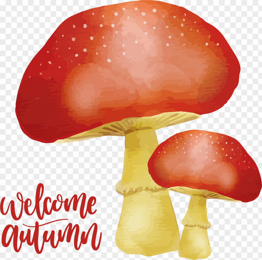 Welcome The Autumn Mushroom Watercolor Painting Download PNG