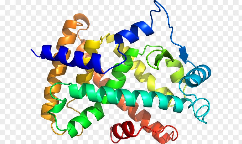 Amino Acid Molecular Biology Molecule Clip Art PNG