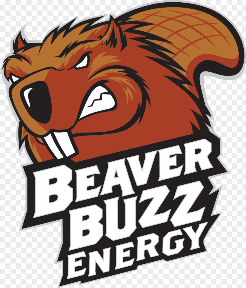 Beaver Buzz Energy Drink Fizzy Drinks Root Beer PNG