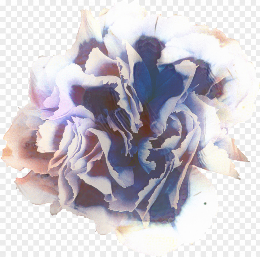 Cut Flowers Flower Bouquet Floral Design Petal PNG