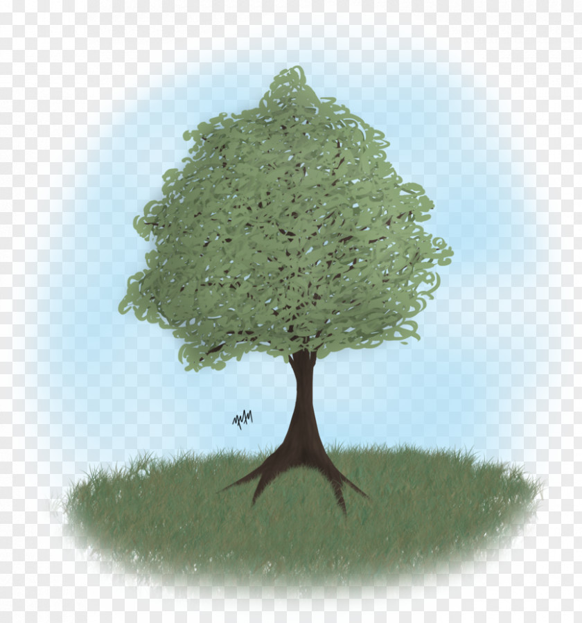 Doodle Tree Drawing DeviantArt April Fool's Day PNG