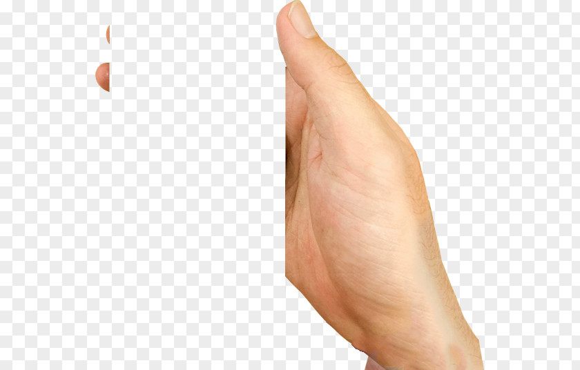 Hand Lesson Thumb Close-up PNG