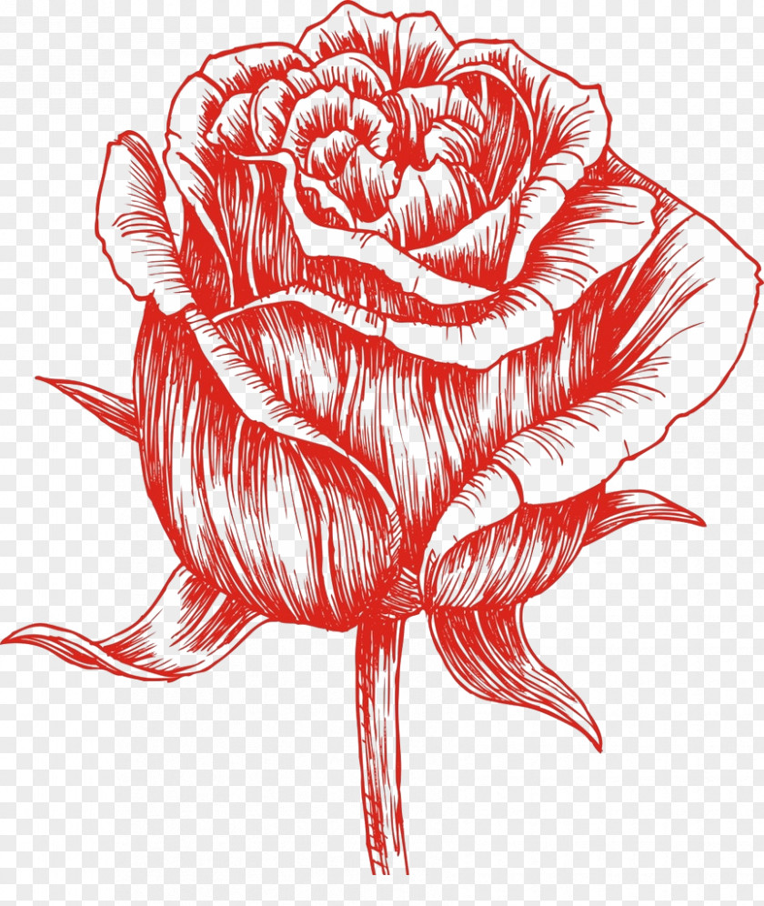 Hand-painted Roses Cdr Drawing Watercolor Painting Clip Art PNG