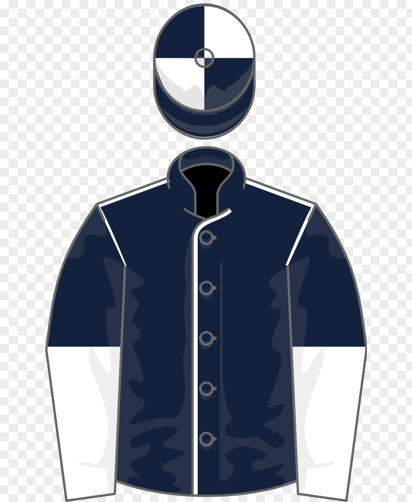 Horse Curragh Racecourse Racing Silks Bondi Beach PNG