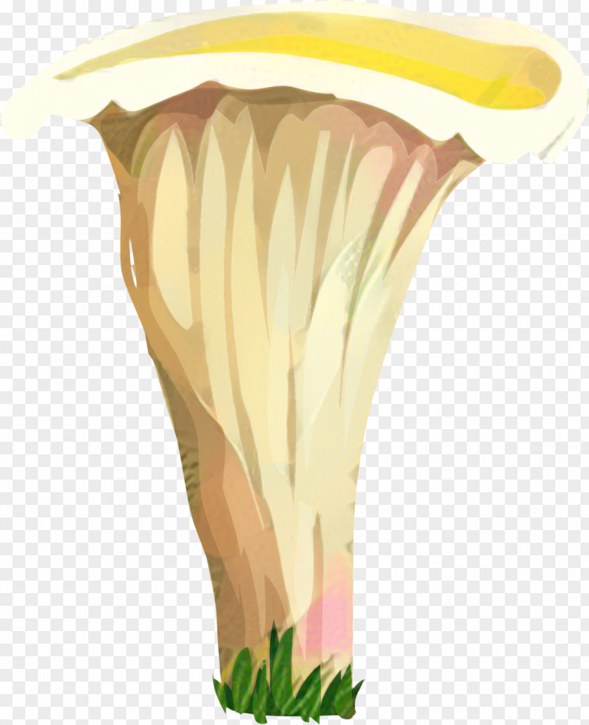 Nepenthes Plant Vase PNG