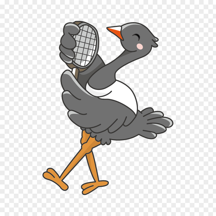Ostrich Common Bird Animal Duck Goose PNG