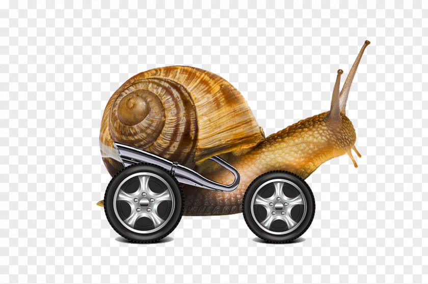 Snail Cars Internet PNG