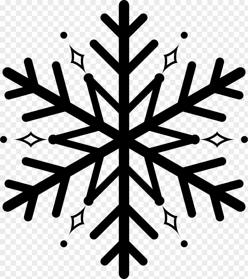 Snowflake Myasthenia Gravis Ice PNG