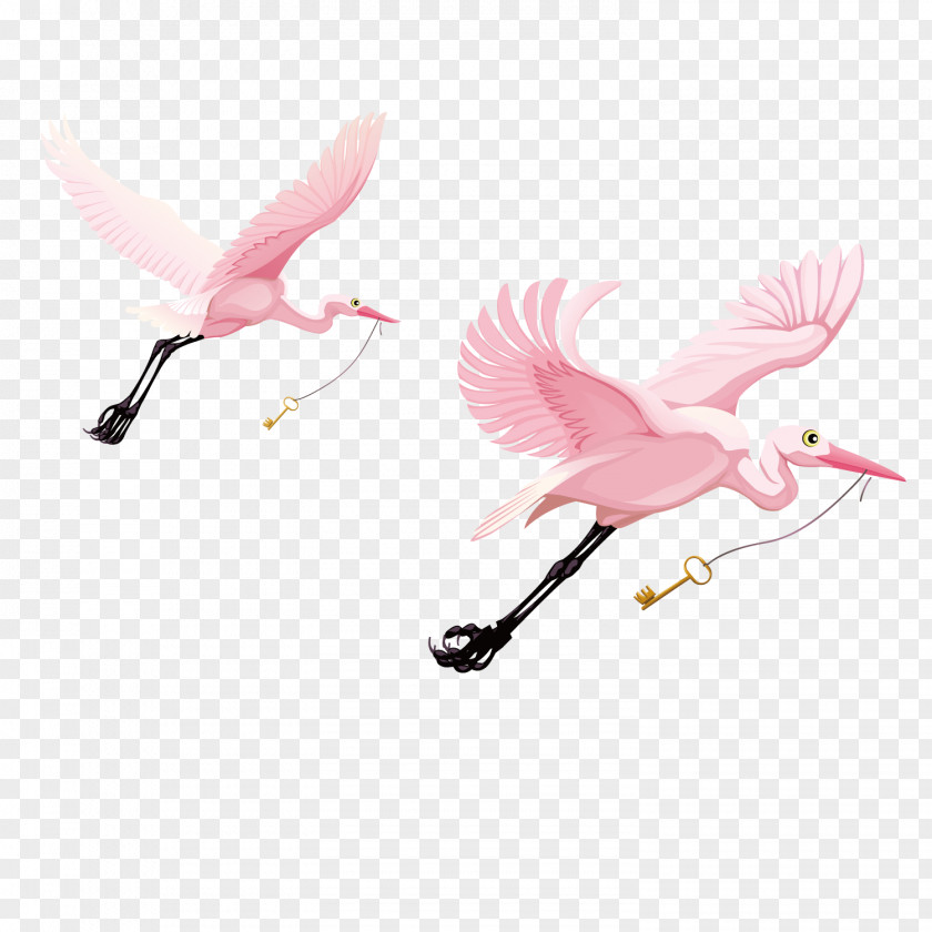Vector Pink Swan Water Bird Cygnini Wing PNG
