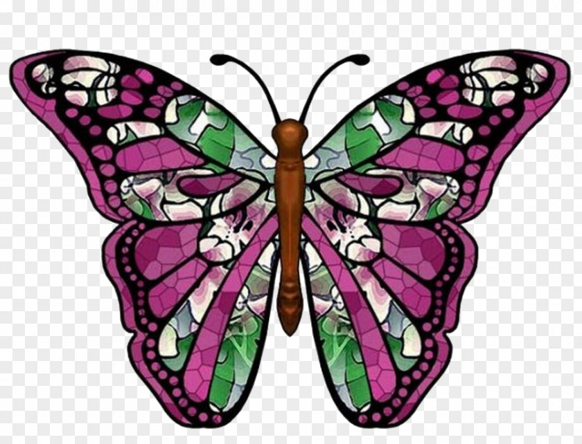 Butterfly Art Color Clip PNG