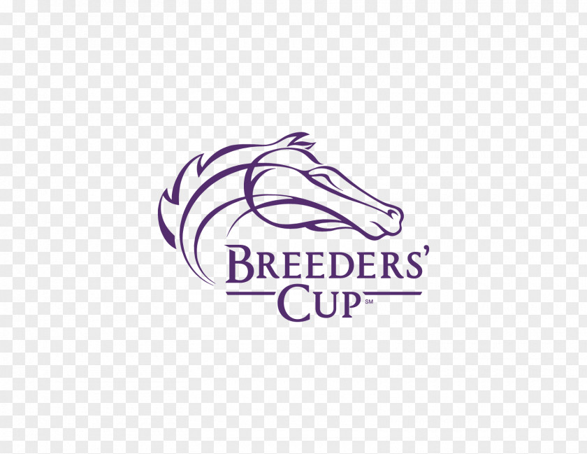 Churchill Downs Breeders' Cup Distaff 2018 Thoroughbred Turf Sprint PNG