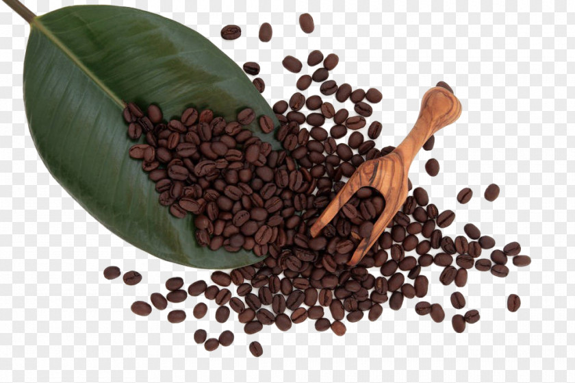 Coffee Beans Bean Caffxe8 Americano Espresso Cafe PNG