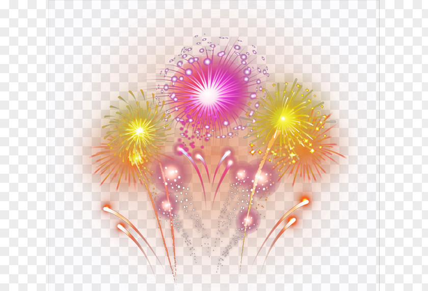 Fireworks Graphic Design Cartoon Animation Designer PNG