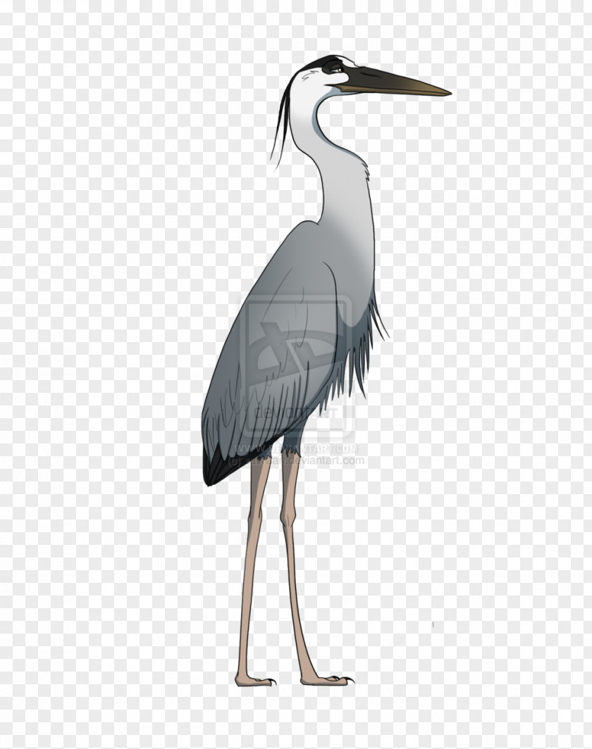 Great Clipart Blue Heron Crane Stork Drawing PNG