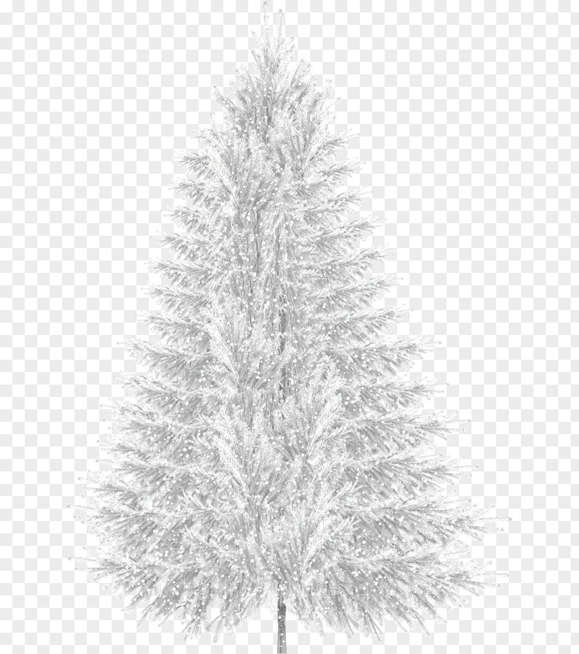 Creative Winter Snow Christmas Tree PNG