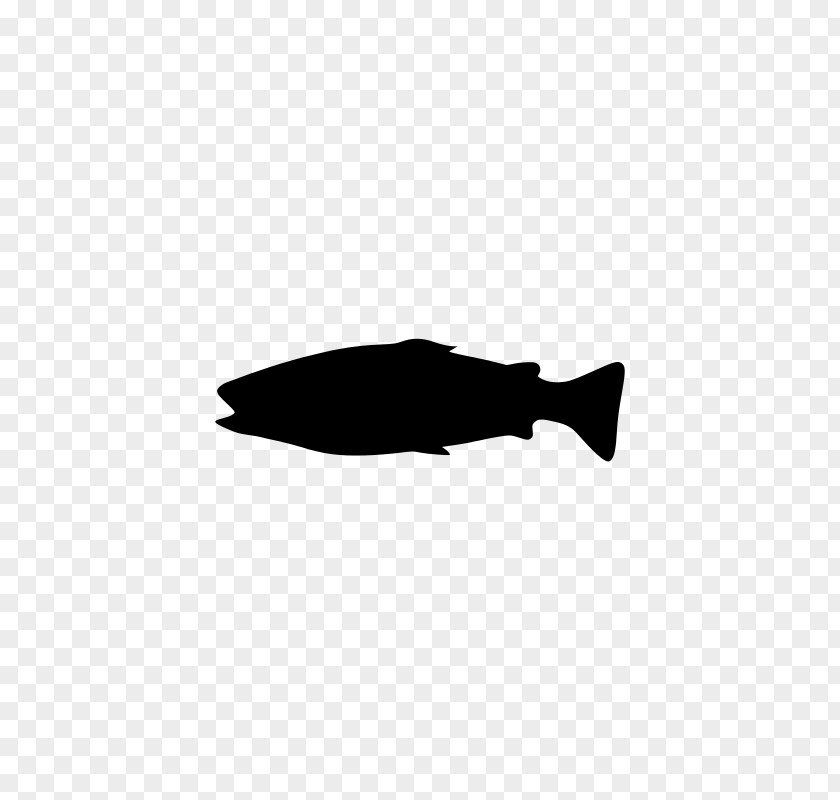 Fish Silhouette PNG