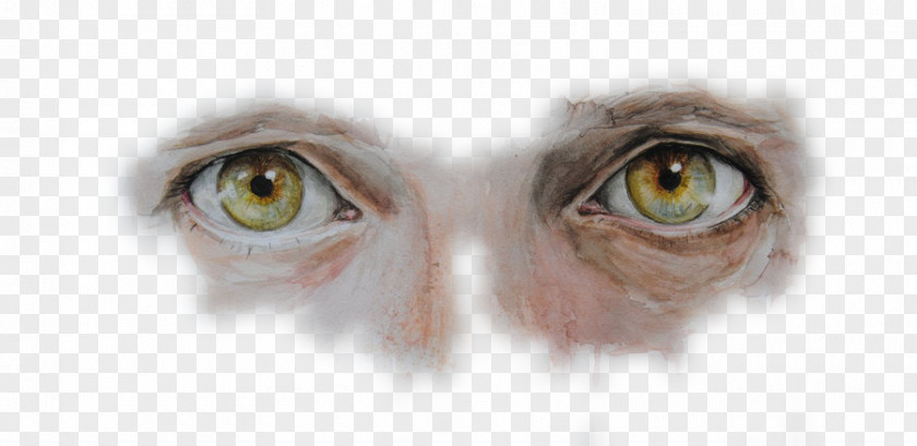 Painted Brown Pupil Eyes Eye Computer File PNG
