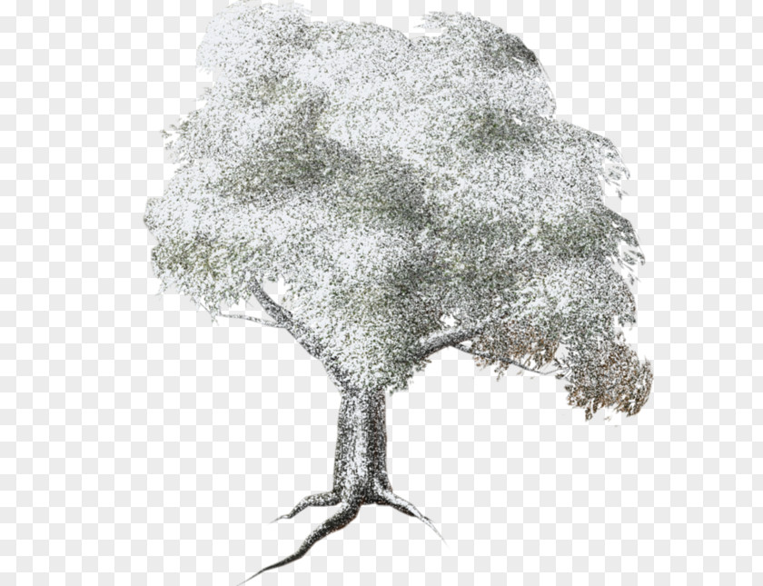 Article Tree Clip Art PNG