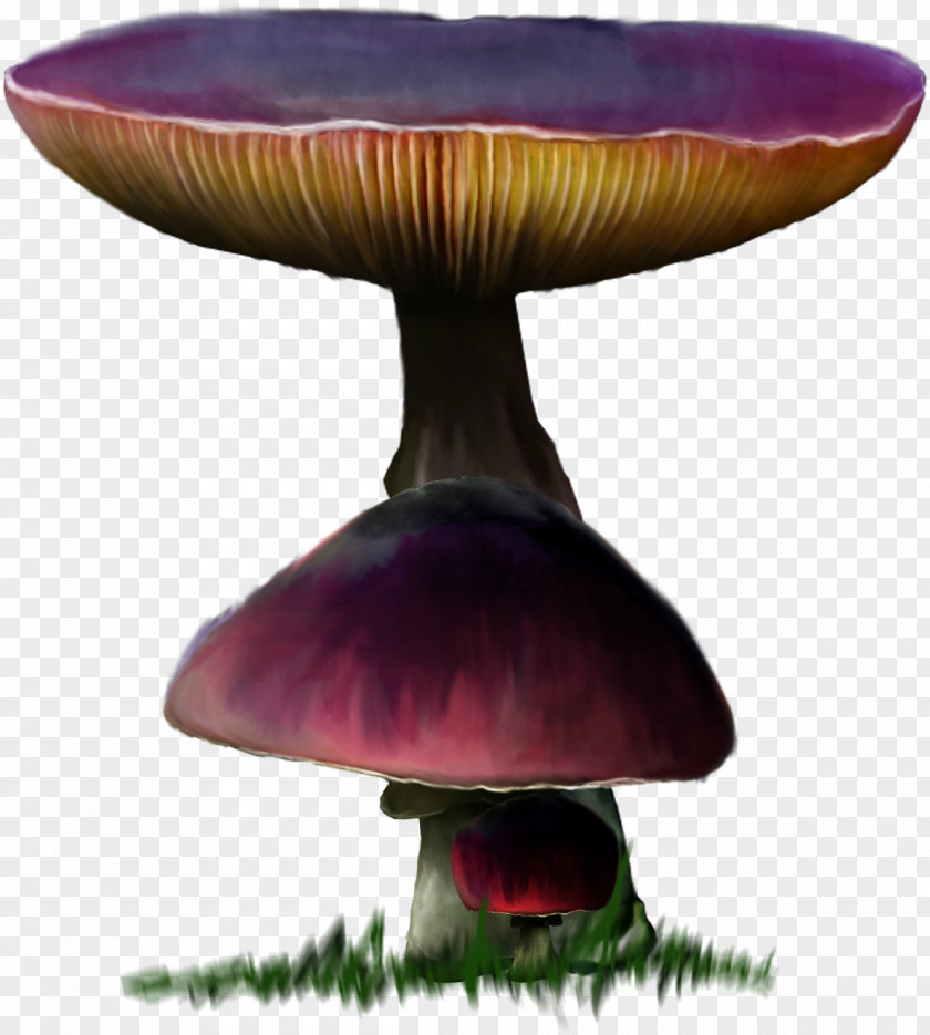 Mushroom Download PNG