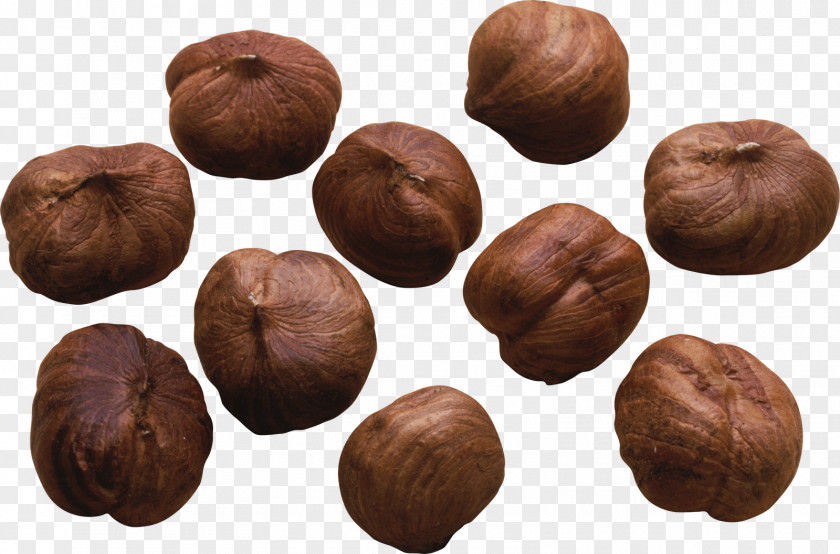 Pistachios Hazelnut Chinese Chestnut Nuts Cashew PNG
