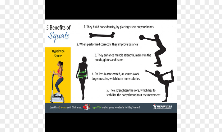 Squats Exercise Squat Strength Training Physical Fitness Lunge PNG