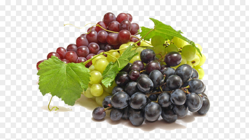 Wine Common Grape Vine Fruit PNG