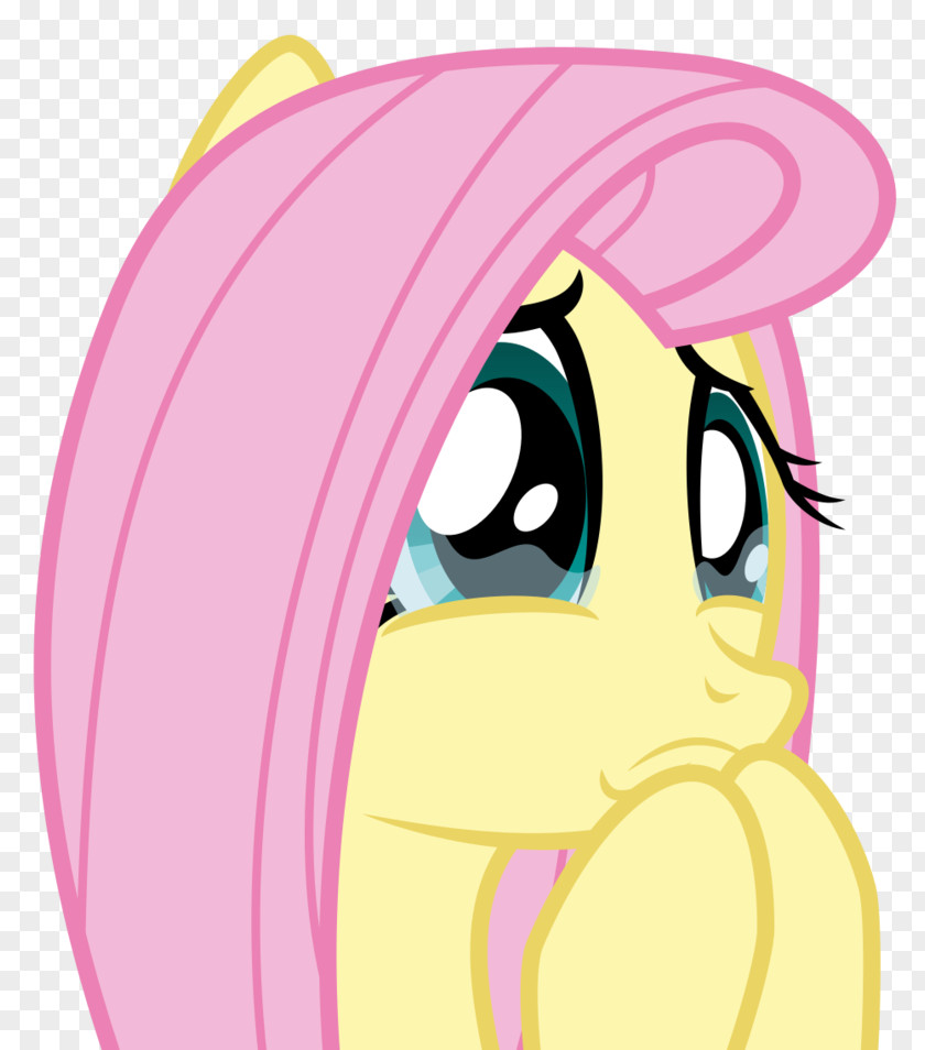Animated Fluttershy Twilight Sparkle Rainbow Dash Derpy Hooves Rarity PNG