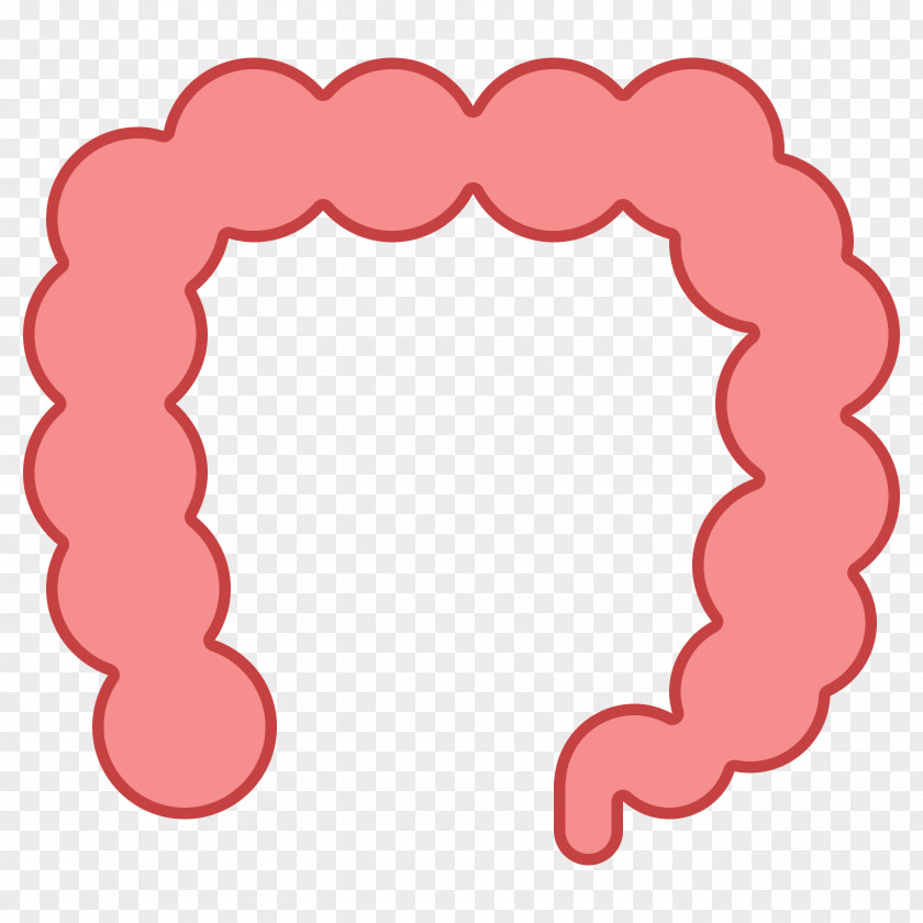 Colorectal Vector Large Intestine Clip Art Inflammatory Bowel Disease Illustration PNG