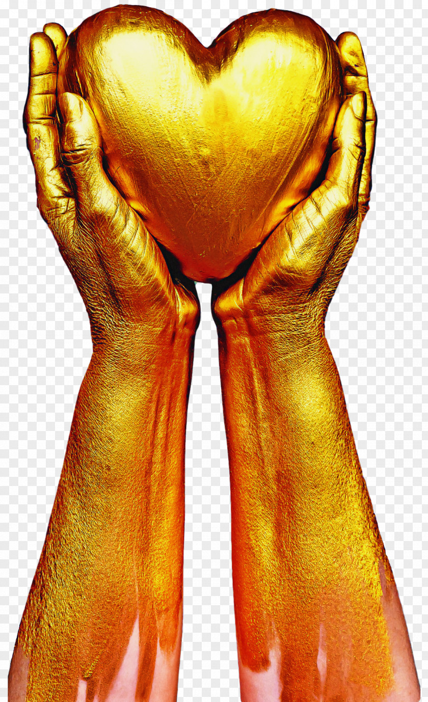 Hand Heart Muscle Human Body Gold PNG