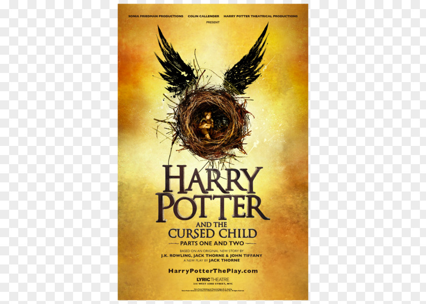 Poster Child Harry Potter And The Cursed I (Literary Series) Rehearsal PNG